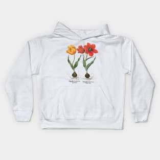 Tulips by Basilius Besler Kids Hoodie